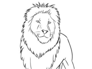 卡通狮子2