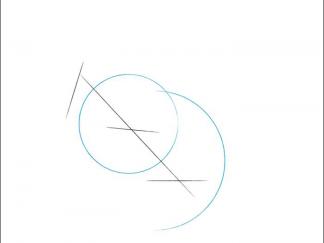 卡通南美洲栗鼠2