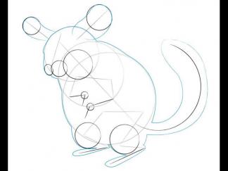 卡通南美洲栗鼠7