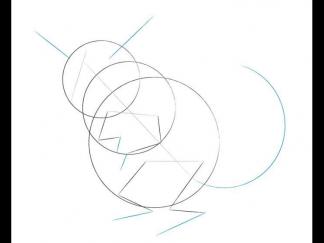 卡通南美洲栗鼠5