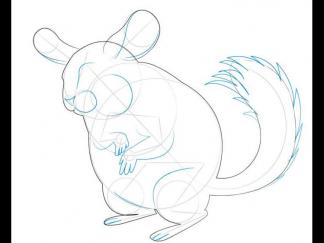 卡通南美洲栗鼠8