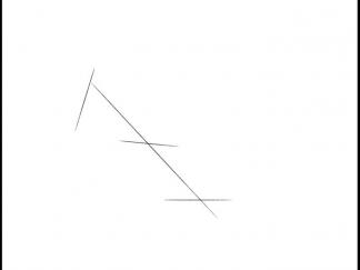 卡通南美洲栗鼠1