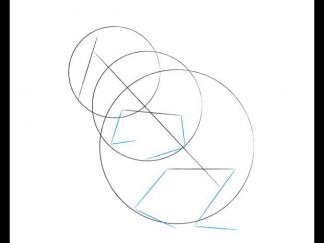 卡通南美洲栗鼠4