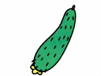 黄瓜3