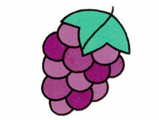 葡萄7
