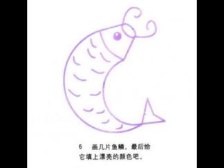 鲤鱼6