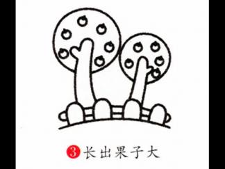 果园3