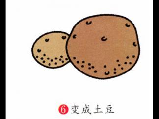土豆26