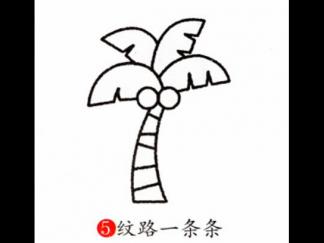 椰树5