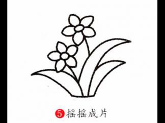 水仙花25