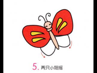 小蝴蝶5