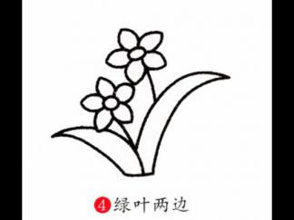 水仙花24