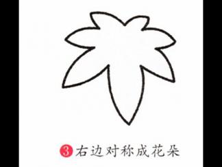 枫叶3