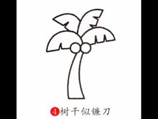 椰树4