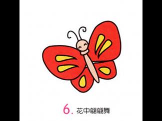 小蝴蝶6