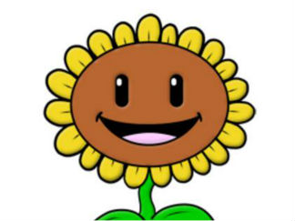 植物大战僵尸太阳花