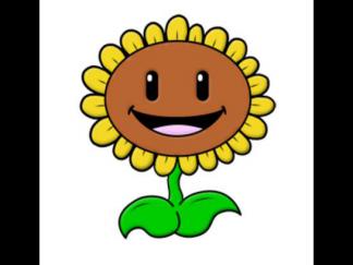 植物大战僵尸太阳花8