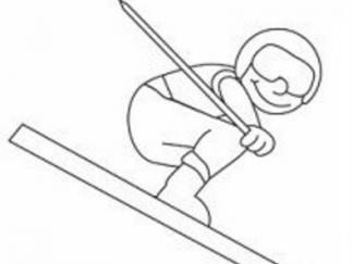 自由式滑雪运动员4