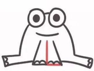 青蛙17