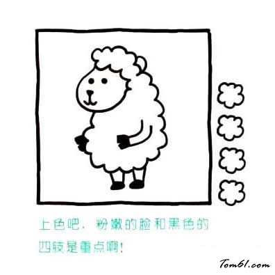 棉花糖一样的绵羊