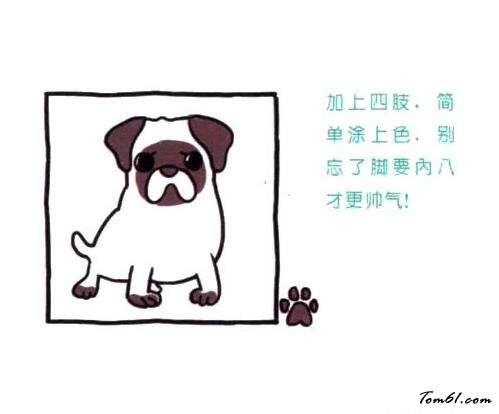 怎么看都心情不佳的八哥犬