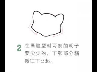 胖乎乎的小浣熊2