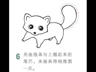 胖乎乎的小浣熊6