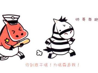 天生有型的斑驴5