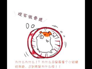 爱坚果的小胖子仓鼠5