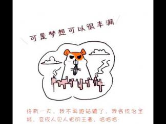 爱坚果的小胖子仓鼠6