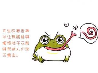 大眼睛大嘴巴的青蛙5