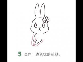 竖着耳朵的小兔子5