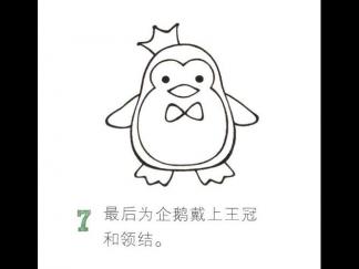 可爱的企鹅7