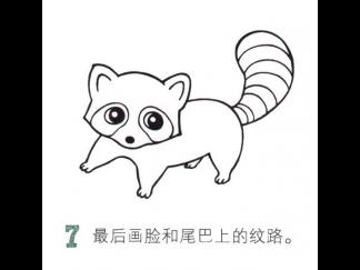 胖乎乎的小浣熊7