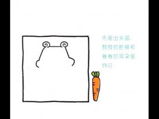 爱坚果的小胖子仓鼠1