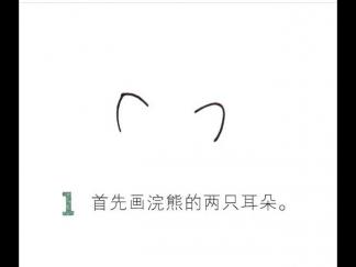 胖乎乎的小浣熊1