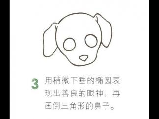 两眼水汪汪的小狗3