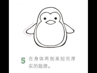 可爱的企鹅5