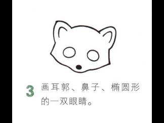 胖乎乎的小浣熊3