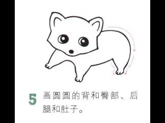 胖乎乎的小浣熊5