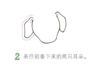 两眼水汪汪的小狗2