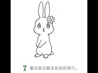 竖着耳朵的小兔子7