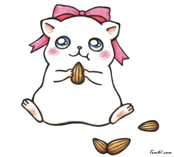 学画胖嘟嘟的仓鼠