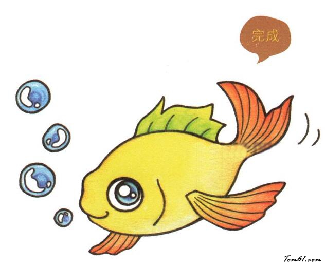 漂亮的金鱼
