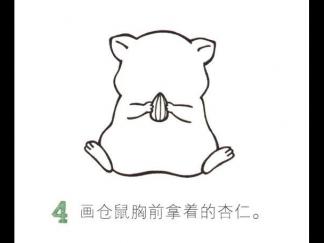 学画胖嘟嘟的仓鼠4