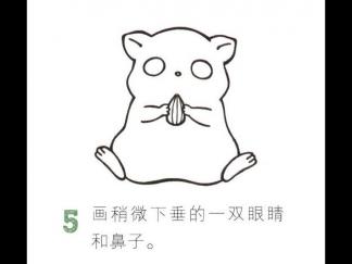 学画胖嘟嘟的仓鼠5