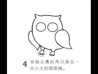 圆溜溜的猫头鹰4