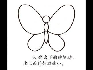 学画花蝴蝶3