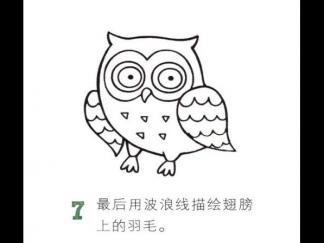 圆溜溜的猫头鹰7