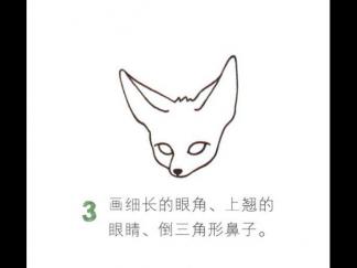 沙漠狐狸3